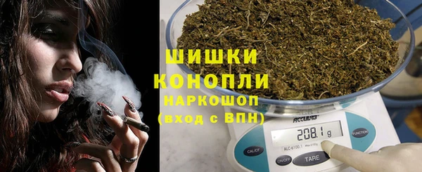 mix Богородицк